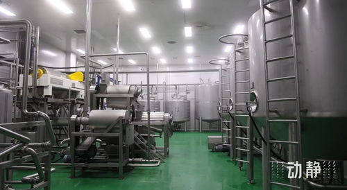 全省唯一！麻江縣獲批全國農(nóng)產(chǎn)品骨干冷鏈物流重點縣，為農(nóng)產(chǎn)品進出口注入強勁動力